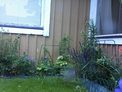 2026-07-06.jpg