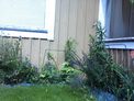 2026-07-08.jpg