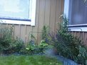 2026-07-10.jpg