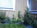 2026-07-11.jpg