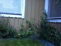 2026-07-12.jpg