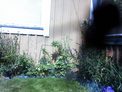 2026-07-15.jpg