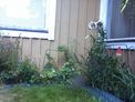 2026-07-18.jpg
