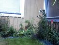 2026-07-19.jpg
