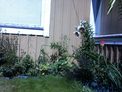 2026-07-21.jpg