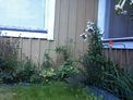 2026-07-23.jpg