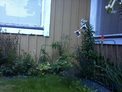 2026-07-24.jpg