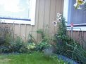 2026-07-25.jpg