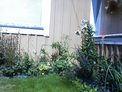 2026-07-26.jpg
