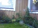 2026-07-27.jpg