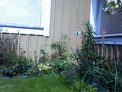2026-07-28.jpg