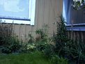 2026-07-29.jpg