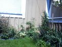 2026-07-30.jpg
