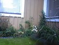 2026-08-10.jpg