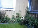 2026-08-11.jpg