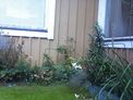2026-08-17.jpg