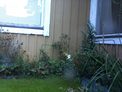 2026-08-20.jpg