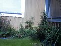 2026-08-21.jpg