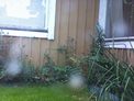 2026-08-23.jpg
