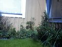 2026-08-29.jpg