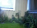 2026-09-20.jpg