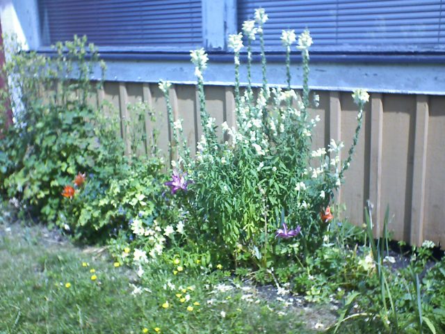 2026-07-01.jpg