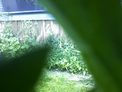 2025-06-19.jpg