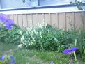 2025-08-11.jpg