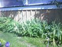 2025-08-12.jpg