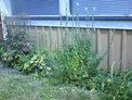 2026-07-13.jpg