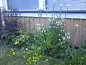 2026-07-25.jpg