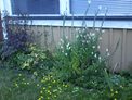 2026-07-28.jpg