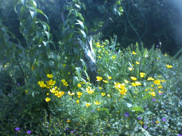 2026-07-01.jpg