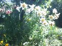 2024-07-23.jpg