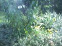 2025-07-29.jpg