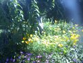 2026-06-25.jpg
