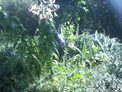2026-07-29.jpg